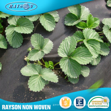 Alibaba.Com Fabric Rolls Pp Spunbond Weed Control Nonwovens